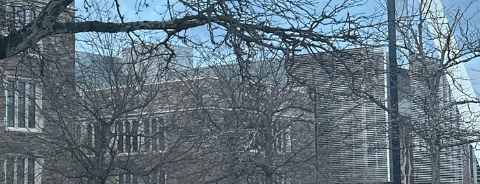 Princeton University Fountain is one of New York 5 (2017).