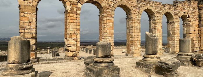 Volubilis is one of Tempat yang Disukai CJ.