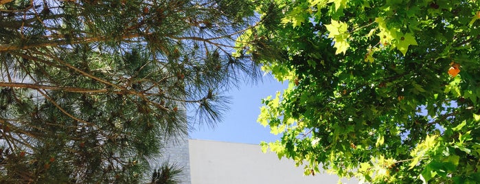 Universidade do Algarve - Campus Gambelas is one of casas.