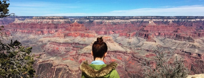 Grand Canyon National Park is one of Kirill’s Liked Places.