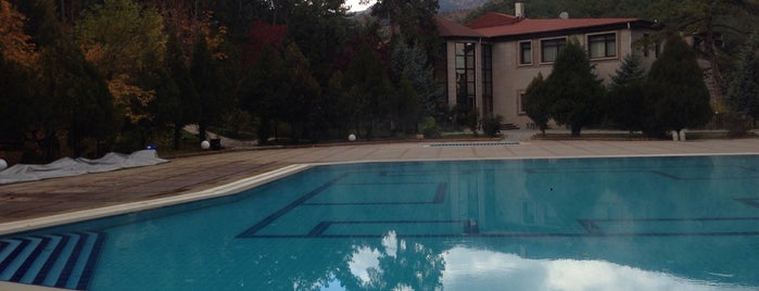 Patalya Thermal Resort Hotel Ankara is one of Cansu : понравившиеся места.