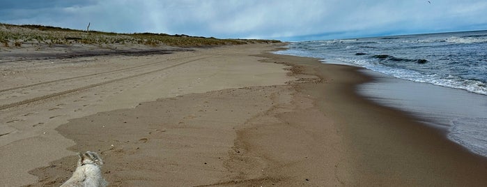 Two Mile Hollow Beach is one of Montauk & Hamptons.