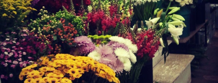 Steuber Florist is one of Where I Spend My Days!.