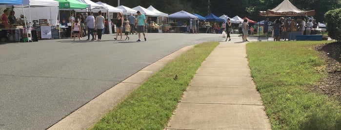 Holly Springs Community Library is one of Bookworm Bonanza.