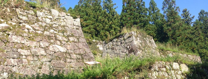 Iwamura Castle Ruins is one of 100 "MUST-GO" castles of Japan 日本100名城.
