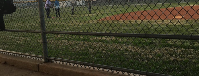 Soccer Fields