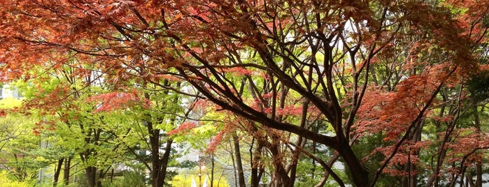 Dosan Park is one of Seoul.