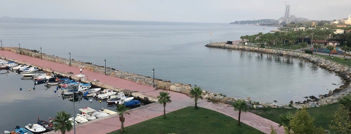 Denize Sevgi Parkı is one of Kocaeli to Do List.
