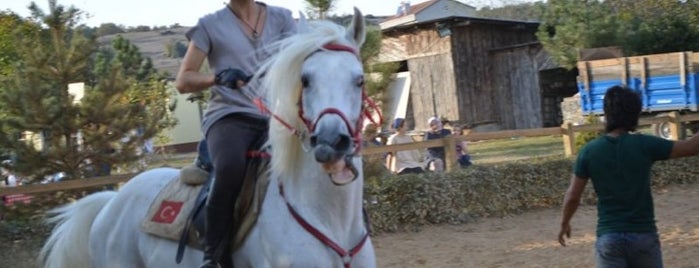 Atlıbey Binicilik At Çiftliği is one of Emre: сохраненные места.