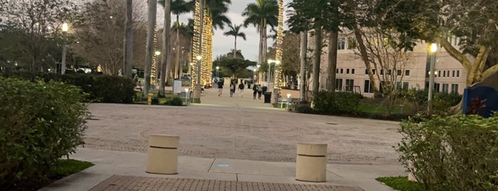 Alvin Sherman Library is one of Study Spots.