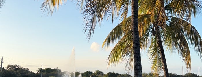 Central Park is one of great south Florida secrets.
