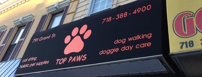 Top Paws is one of PET SHOPS.