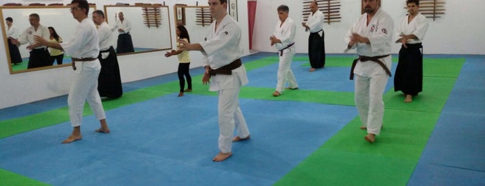 Awase Dojo is one of Aikido.