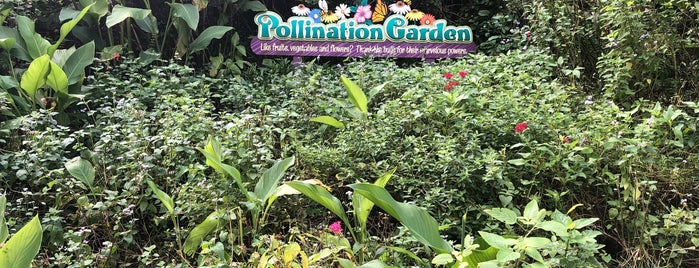 Pollination Garden is one of Orte, die Lizzie gefallen.
