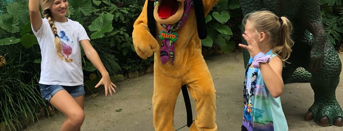 Goofy & Pluto Character Meet & Greet is one of Walt Disney trip.