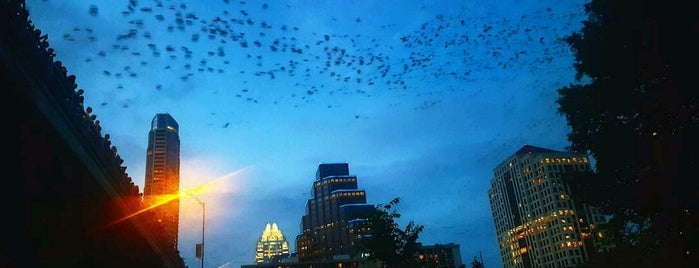 Statesman Bat Observation Center is one of Escape Guide // Austin, TX.