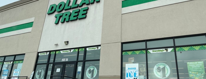 Dollar Tree is one of Robertさんのお気に入りスポット.