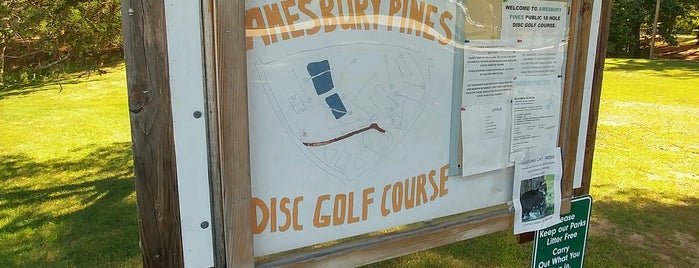 Amesbury Pines Disc Golf Course is one of North Shore "Fun".
