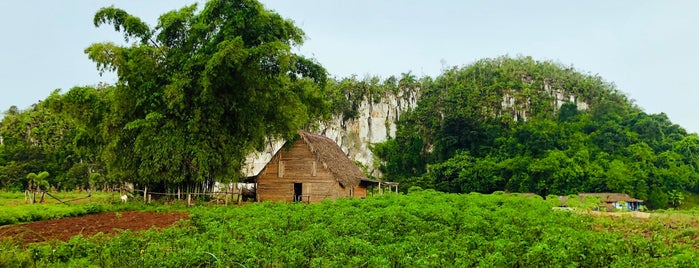 Tobacco Farm is one of Orte, die Greta gefallen.