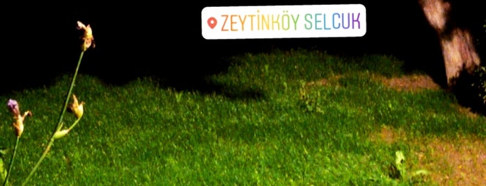 Zeytinköy is one of İzmir Güney.
