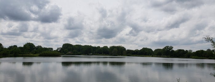 Jericho Lake Park is one of Forest Preserves.