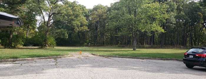 Willow Springs Woods is one of Cook County Woods.