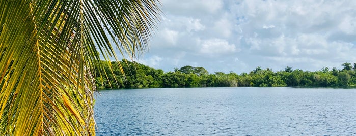 Restaurante Cenote Azul is one of Tempat yang Disukai Cris.