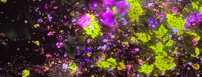 teamLab Planets is one of Tokyo-to-do.