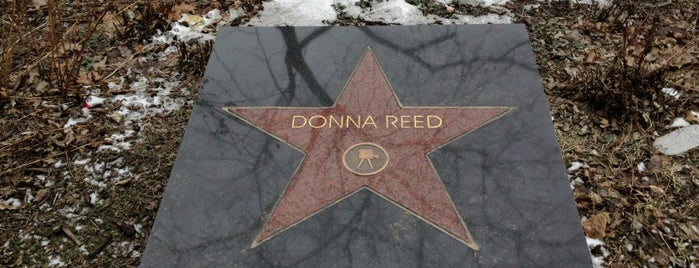 Donna Reed Theatre is one of Iowa.