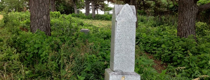Loon Lake Cemetery is one of Paranormal Places.