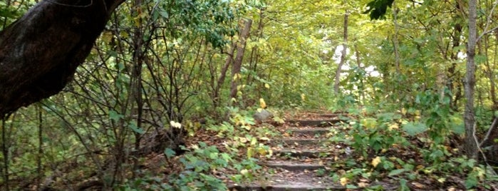 Margo Frankel Woods State Park is one of Iowa: State and National Parks.