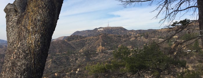 Griffith Park is one of Zack : понравившиеся места.