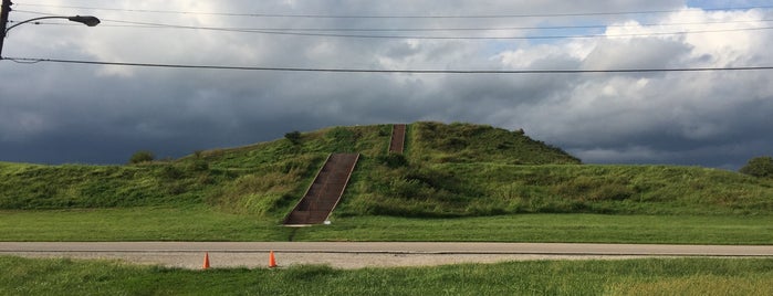 Cahokia Mounds State Historic Site is one of St. Louis.