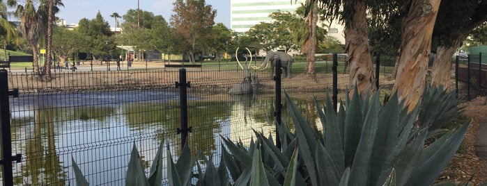 La Brea Tar Pits & Museum is one of LALA Land.