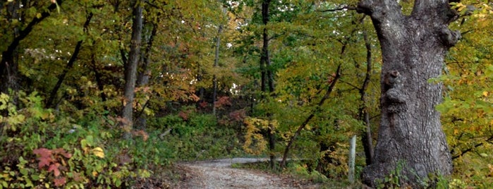Springbrook State Park is one of Iowa.