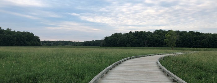 Cuba Marsh Forest Preserve is one of Schaumburg, IL & the N-NW Suburbs.