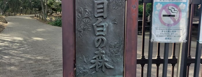 目白の森 is one of 公園.