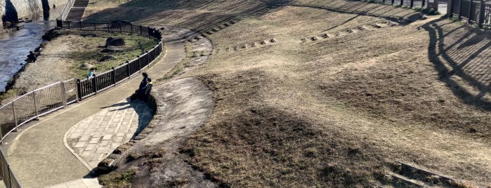 武蔵野橋 is one of 善福寺川に架かる橋.