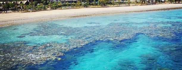Коралловый пляж is one of Valentin : понравившиеся места.