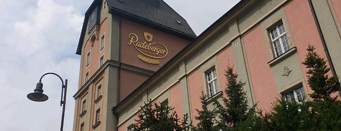 Radeberger Exportbrauerei is one of Dresden.