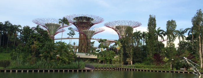 Gardens by the Bay is one of Lieux qui ont plu à Chriz Phoebe.