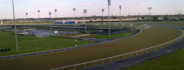 Horseworld UAE is one of Must Do's in Dubai.