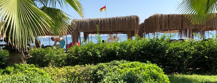Paloma Renaissance Beach Club is one of Tempat yang Disukai Borga.