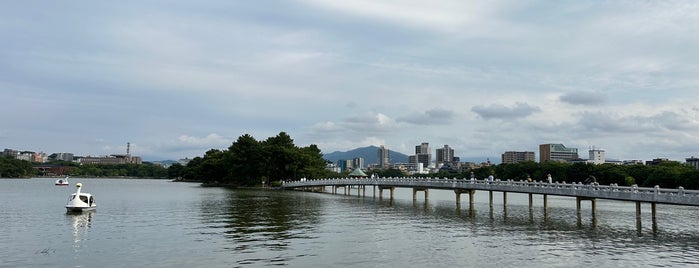 Ohori Park is one of Kyushu.