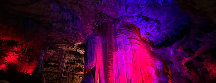 Meramec Caverns is one of To Do w/ABC & XYZ.