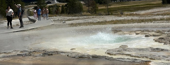 Sawmill Geyser is one of Lizzie’s Liked Places.