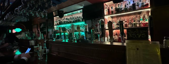 Le Vieux Dublin Pub & Restaurant is one of Best bars montreal.