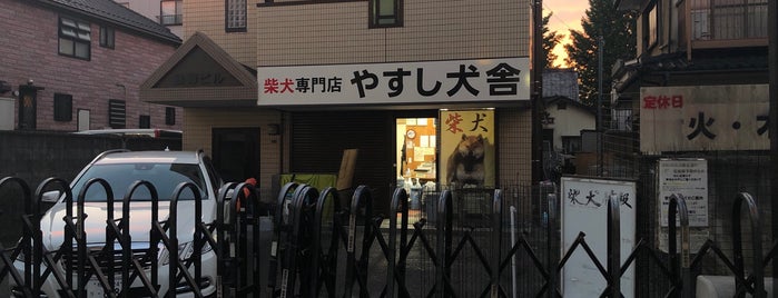 柴犬専門店 やすし犬舎 is one of DOG.