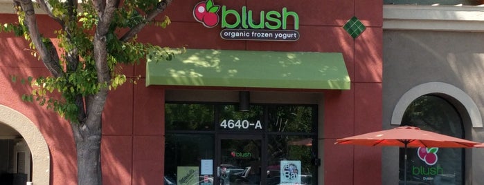 Blush Organic Frozen Yogurt is one of USA 🇺🇸.