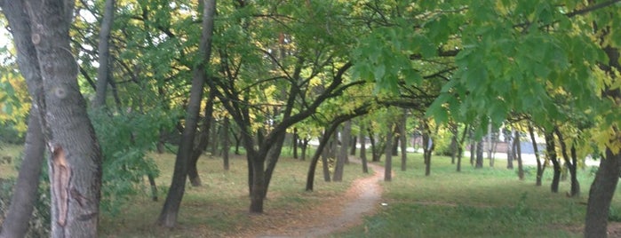 Сквер на Никитина is one of Парки и скверы Минска (Parks and squares in Minsk).